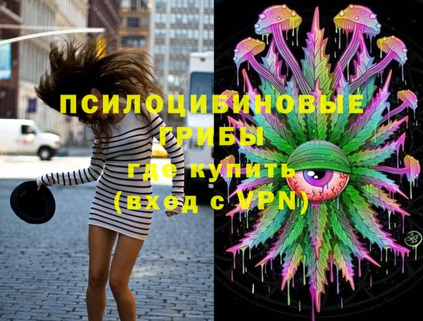 тгк Михайловск