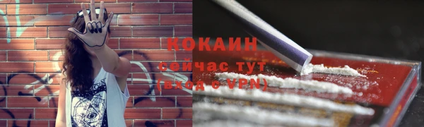 тгк Михайловск